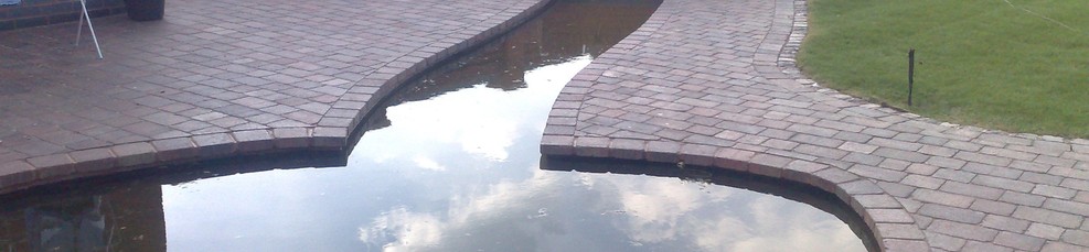 New build fish pool