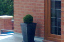 Lead Substitute Image 2